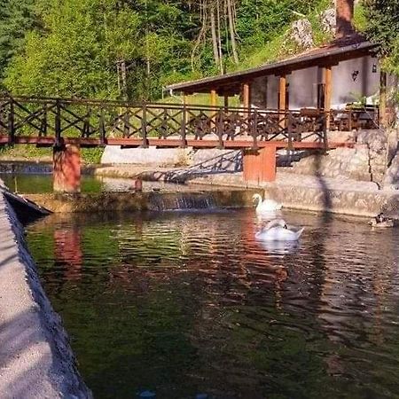 Valja Mare Moma Apartment Golubac Bagian luar foto