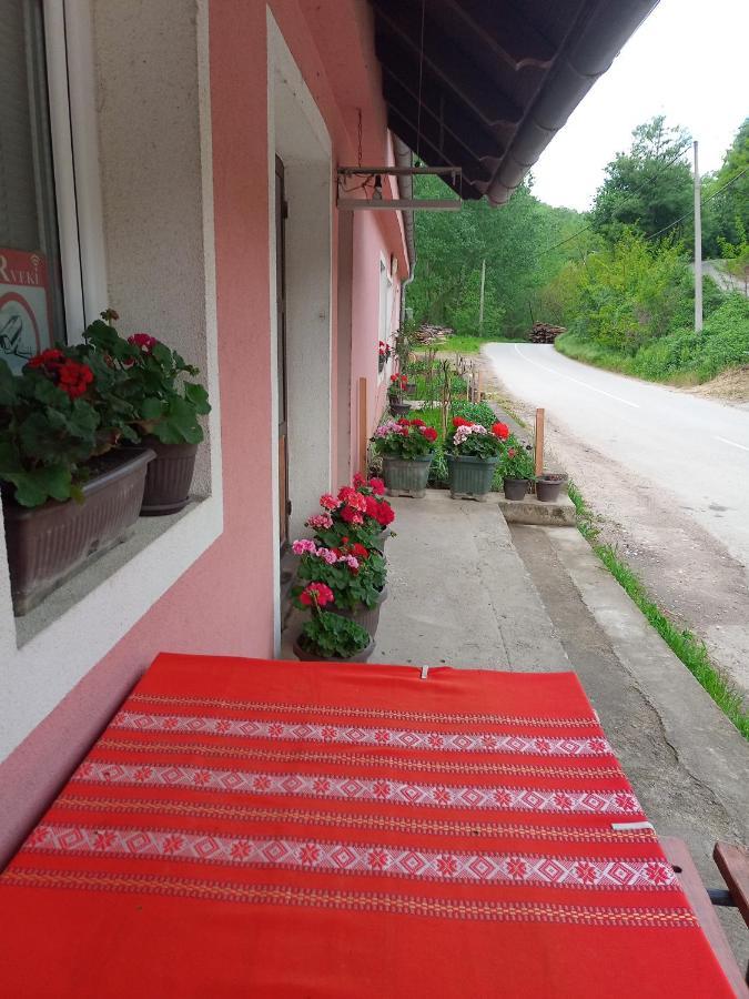 Valja Mare Moma Apartment Golubac Bagian luar foto