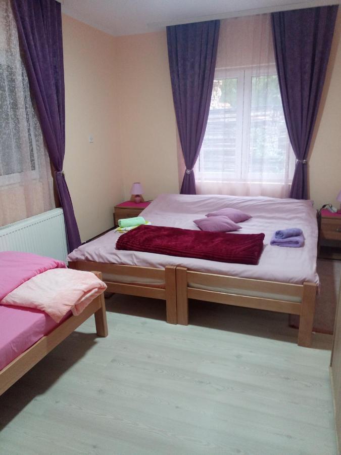 Valja Mare Moma Apartment Golubac Ruang foto