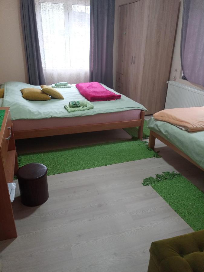 Valja Mare Moma Apartment Golubac Bagian luar foto