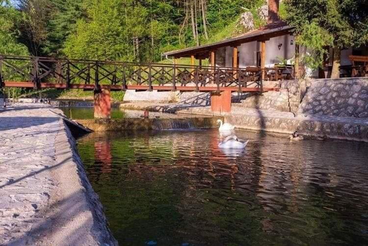 Valja Mare Moma Apartment Golubac Bagian luar foto