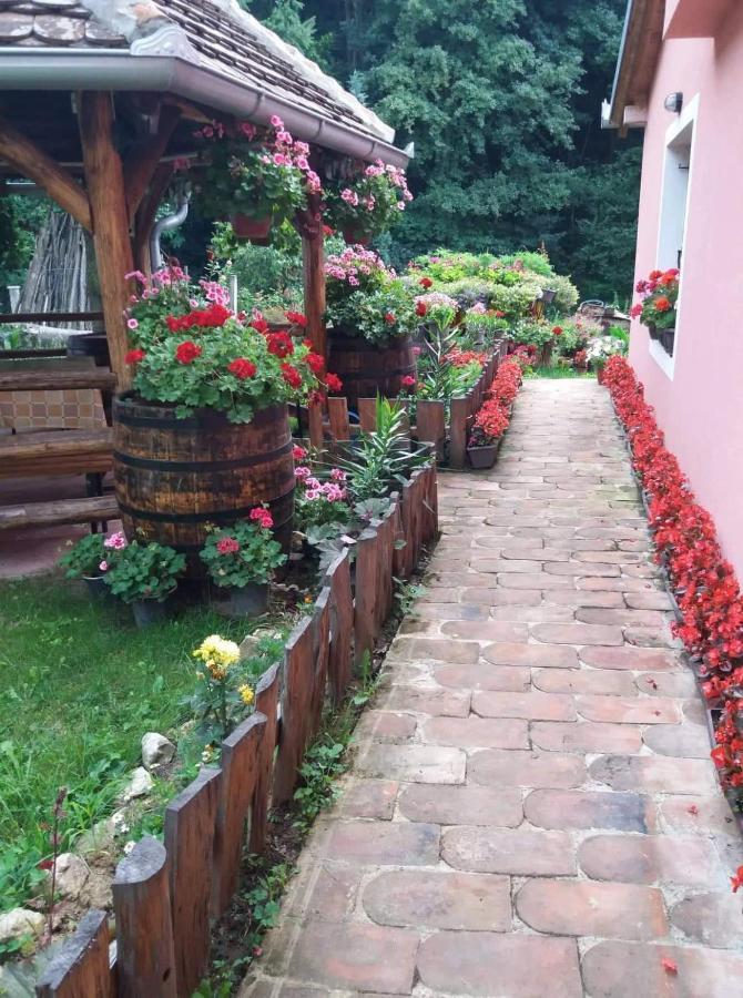 Valja Mare Moma Apartment Golubac Bagian luar foto